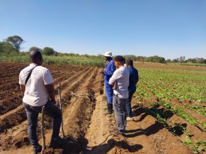 África Austral intensifica esforços para enfrentar ciclones tropicais com novo estudo regional