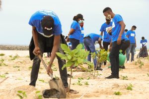 Projecto PRAIAS VERDES, uma iniciativa da FAEF com apoio do Standard Bank.